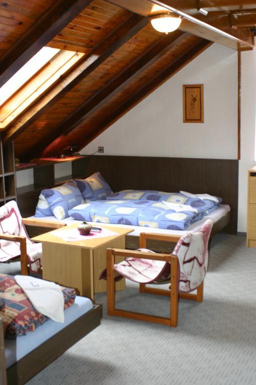 Pension U Vlasku Karlovy Vary Bilik gambar